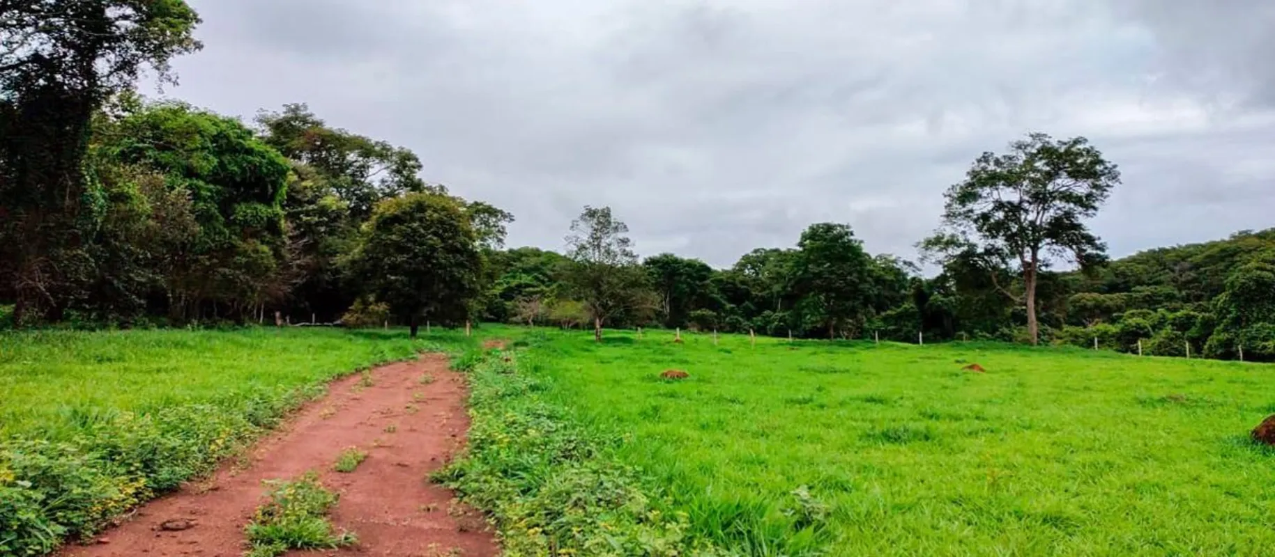 Área à venda – Senador Canedo/GOExcelente oportunidade para investimento em uma ...