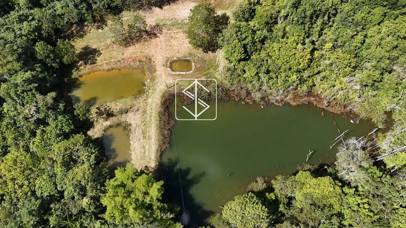 Sítio produtivo à venda em Planalmira de Goiás/GO, com 33 hectares na beira do a...