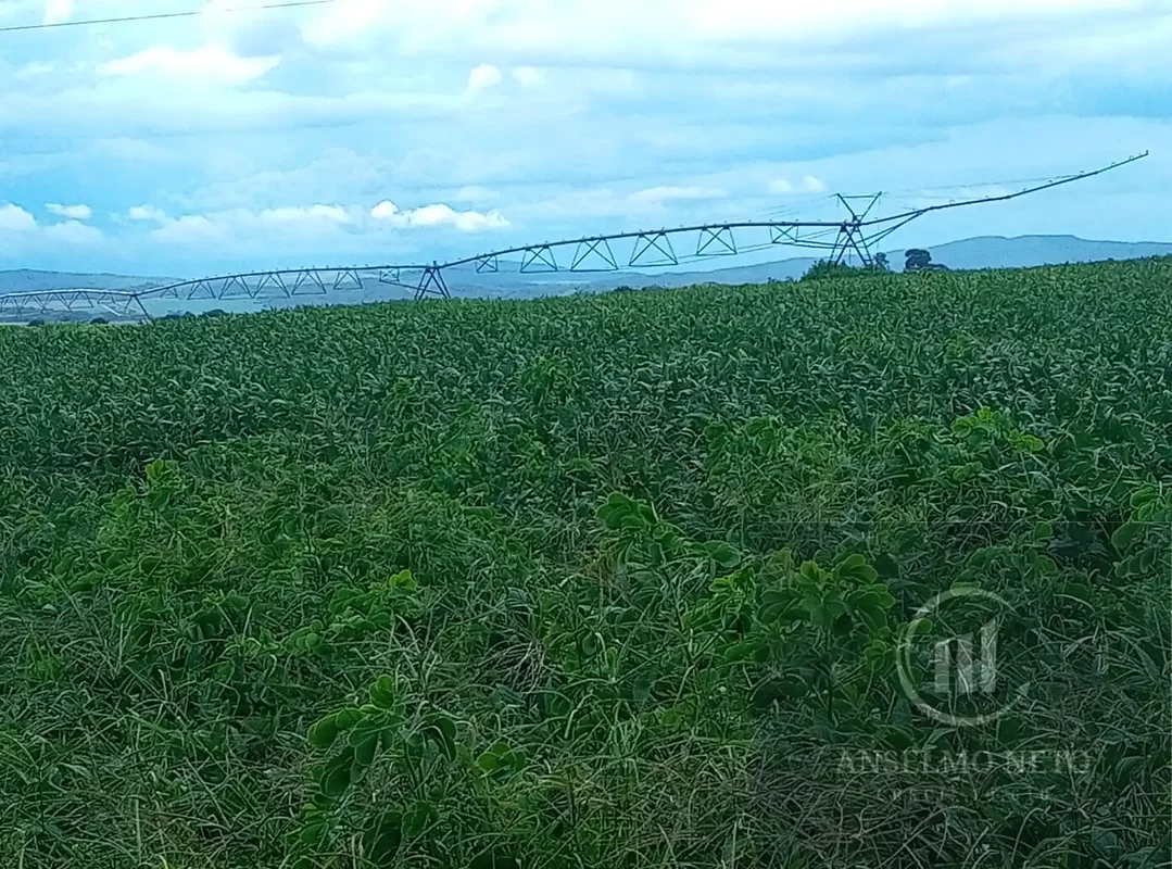 ** ????Fazenda 65 alqueires ** município Itaberaí 18 km** às margens da rodovia ...