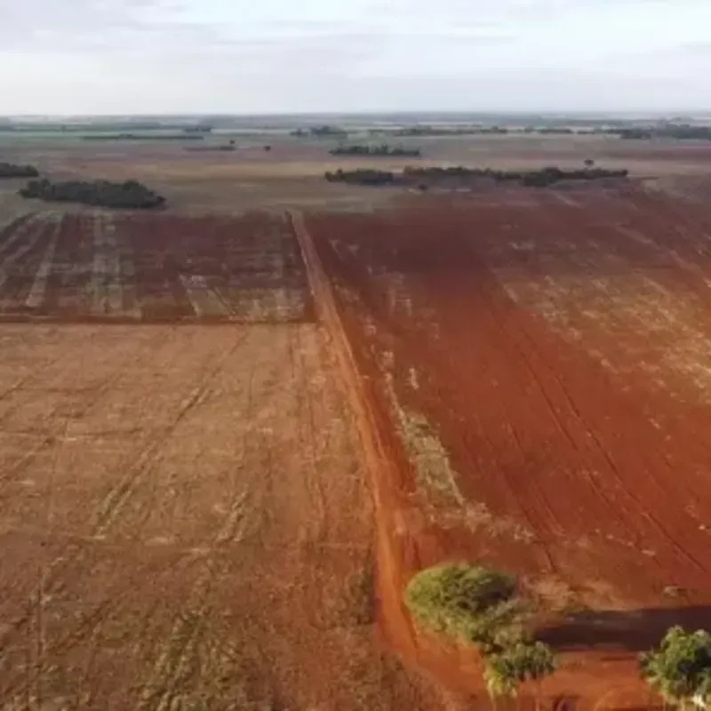 FAZENDA A VENDA Município de Acreúna Goiás 113 Alqueires Planta 96 Alqueires Cas...