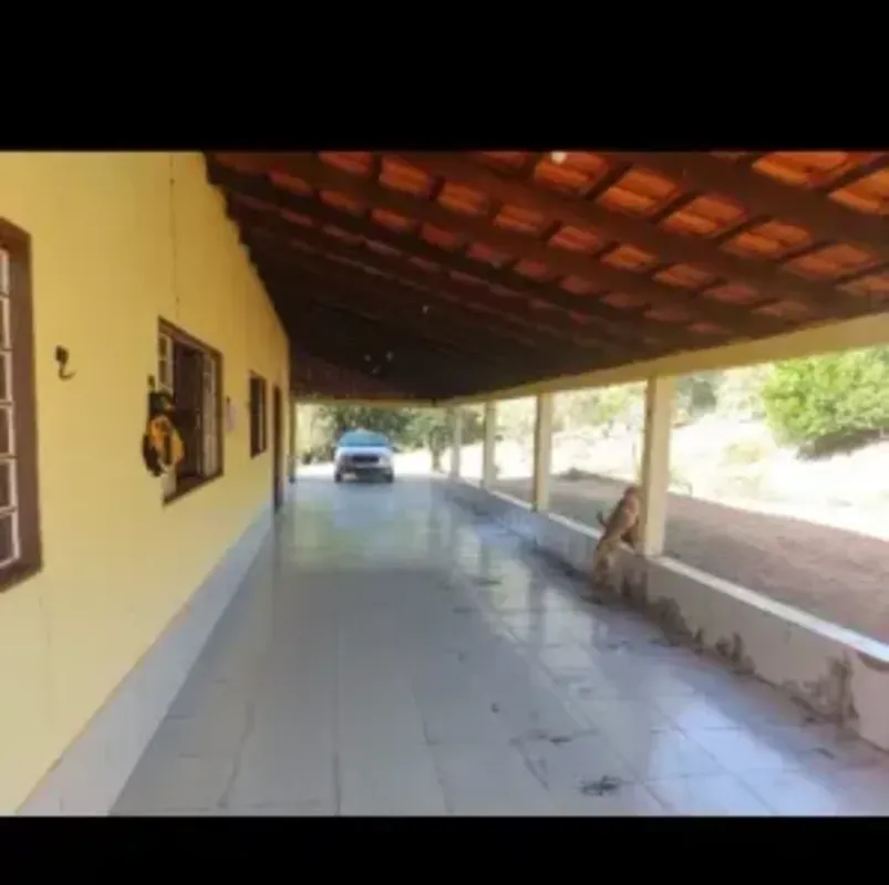 L.HENRIQUE VENDE OTIMA FAZENDA RIQUISSIMA EM AGUA ????FAZENDA COM 8.5 ALQUEIRES ...