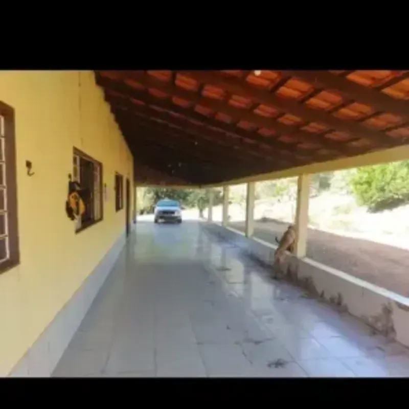 L.HENRIQUE VENDE OTIMA FAZENDA RIQUISSIMA EM AGUA ????FAZENDA COM 8.5 ALQUEIRES ...