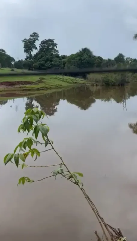 Fazenda 166 alqueires # 80 km de Jaraguá # 180 km de Goiânia # casa sede # curra...
