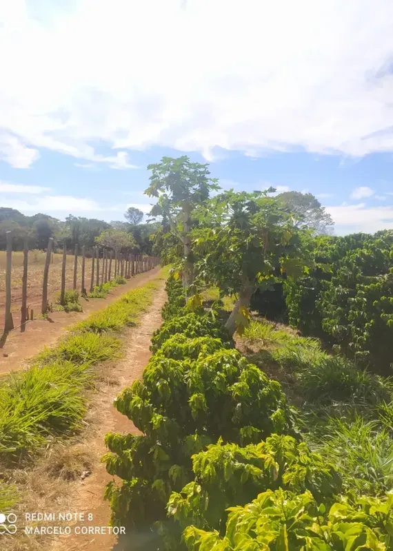Vende Terra em Unaí MG ?62 Hectares ??Valor pedida 60 mil por Hectares. ??Dois C...