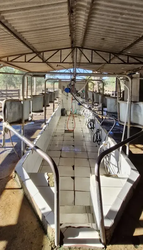 Vende Fazenda Em Unaí Minas gerais. 550 Hectares As Margens do Río preto 4 Pivô ...