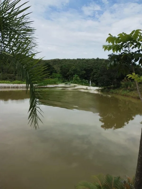 Excelente Chácara à Venda – BR 190Próxima a Santo Antônio | 15 HectaresLocalizaç...