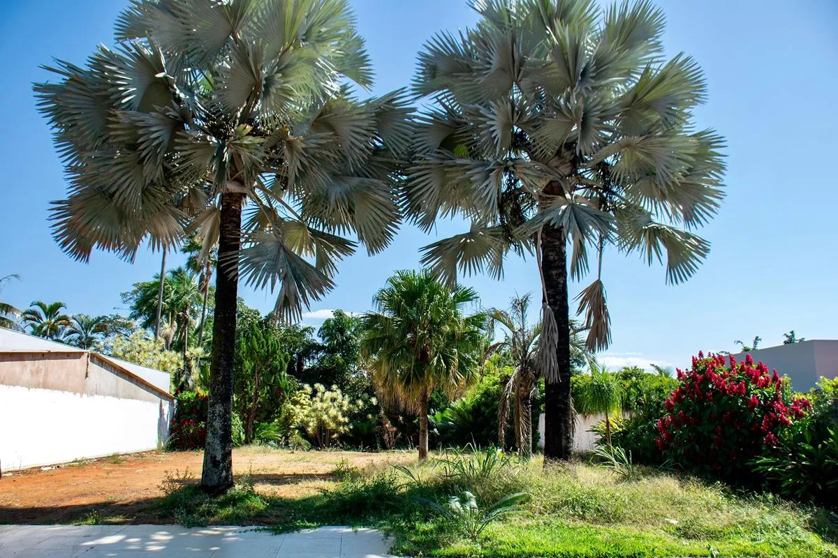 Excelente oportunidade de terreno na QI 23, Lago Sul. Localizado em uma das quad...