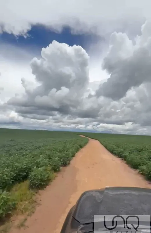 FAZENDA 960HA À VENDA - SERRA BONITA, BURITIS/MGLavoura consolidada, rica em águ...
