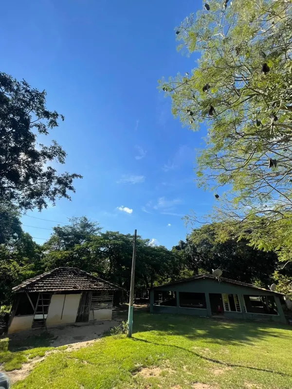 Venda de chácara com 1 alqueire e 38 litros.Casa sede com 3 quartos, casa caseir...