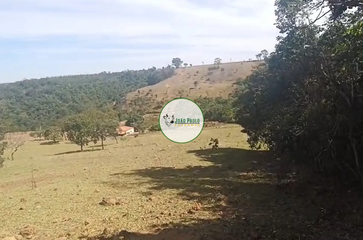 CORRETOR RESPONSÁVEL: JOÃO PAULO LIMA CRECI-DF 29436FAZENDA À VENDA – LUZIÂNIA/G...