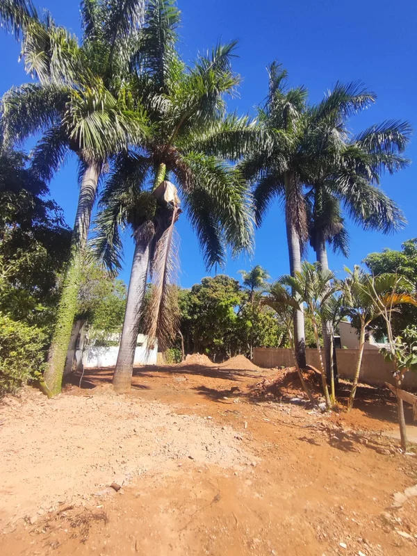 - VENDO LOTE 750 M2, GUARÁ II - BERNARDO SAYÃO. - ATRÁS DO POLO DE MODAS DO GUAR...