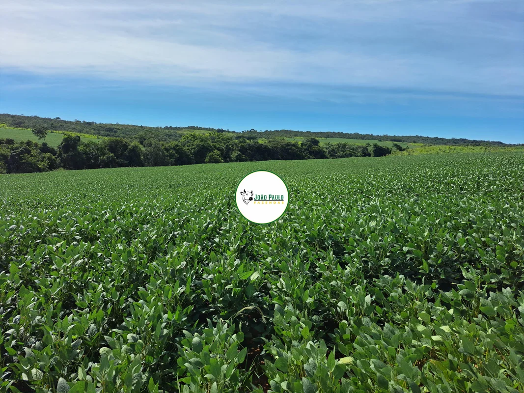 Fazenda a venda em Ipameri-GO - 162 HA - Ótimo para lavoura - Safra e SafrinhaCO...