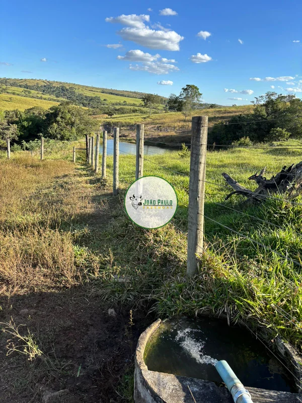 CORRETOR RESPONSÁVEL: JOÃO PAULO LIMA CRECI-DF 29436Fazenda à venda em GIRASOL-G...