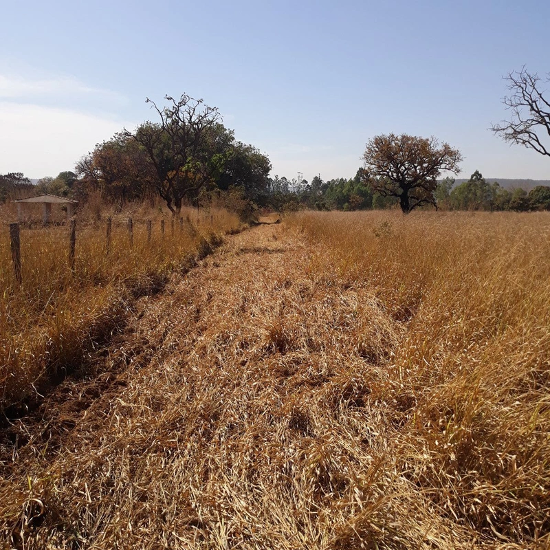 Vendo excelente área, 100% plana , com asfalto na porta, 28.000m2, com frente co...