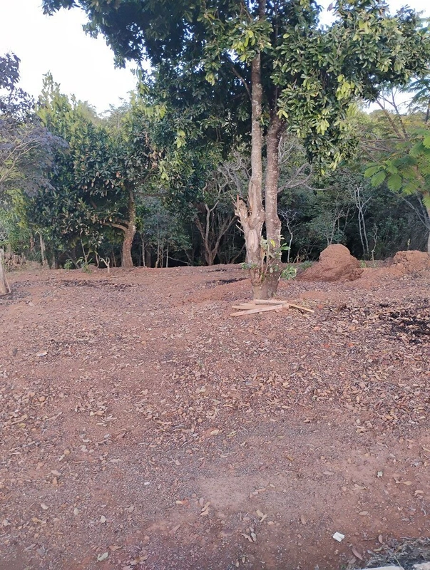 Vendo um ótimo lote na Arniqueira, condomínio fechado. 15/06/26