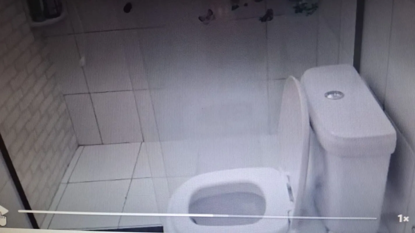 Já imaginou viver em um lugar tranquilo, onde o canto dos pássaros e o contato c...