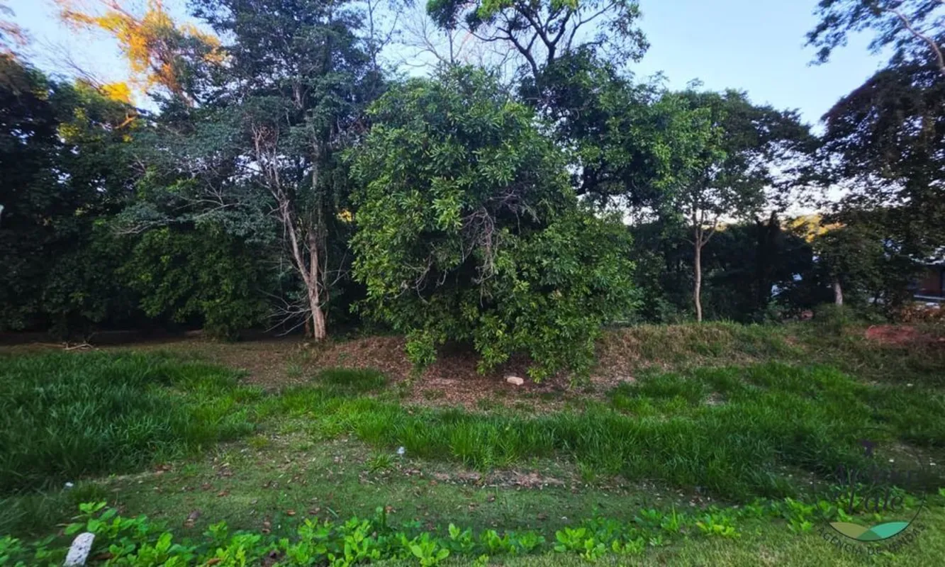 Terreno reservado, fundo de vale e integrado à mata. DF imóveis 19/06/26