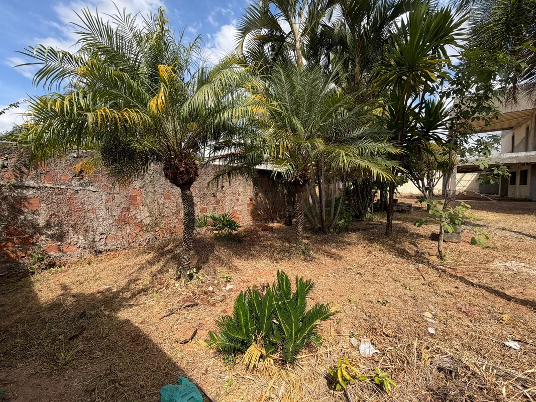 Lote 500 metrosarniqueira ao lado do dona de casa e giraffaspróximo a smart fit ...