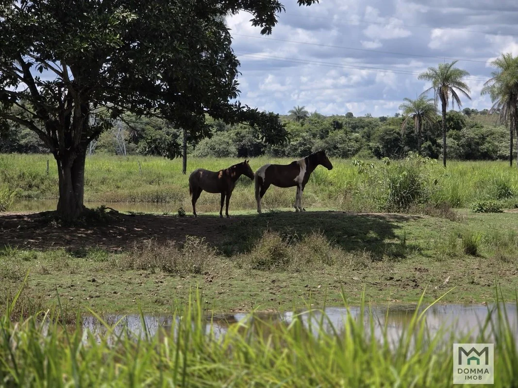 CHÁCARA ENCANTADORA 10,08 HECTARES - PLANALTINA/DF (ZONA RURAL)Apenas 70 km de B...