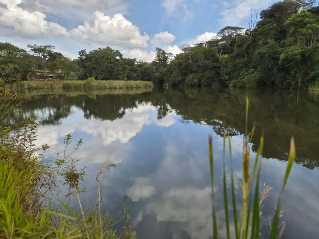CHÁCARA À VENDA EM TEREZÓPOLIS DE GOIÁS - 33.000 m²Excelente oportunidade para q...
