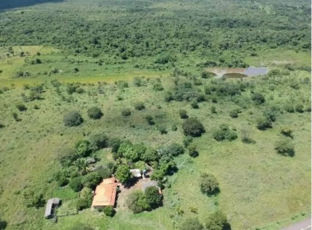 Fazenda à Venda em Flores de Goiás - GO | 147 Hectares | 30,3719 alqueire(s) GO ...