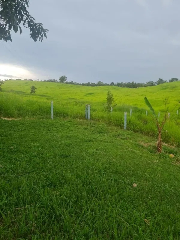 Sítio à Venda - Zona Rural | Alexânia - GOValor: R$ 2.000.000,00Área total: 338....
