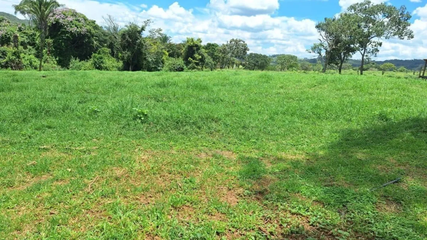 Fazenda à Venda - Alexânia/GOValor: R$ 4.400.000,00Localização: Alexânia/GODistâ...