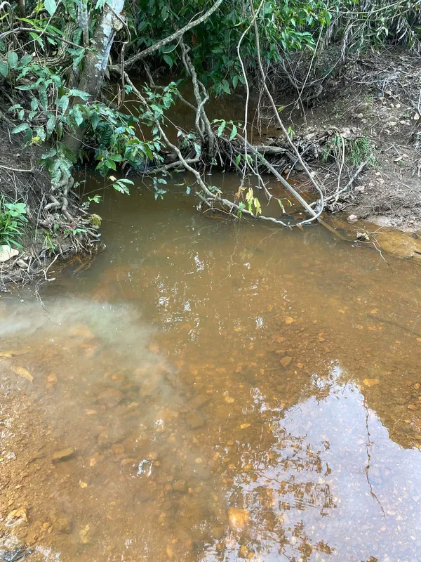 ?? FAZENDA À VENDA | 127 ALQUEIRES ???? R$ 60.000,00 por alqueire? Documentação ...