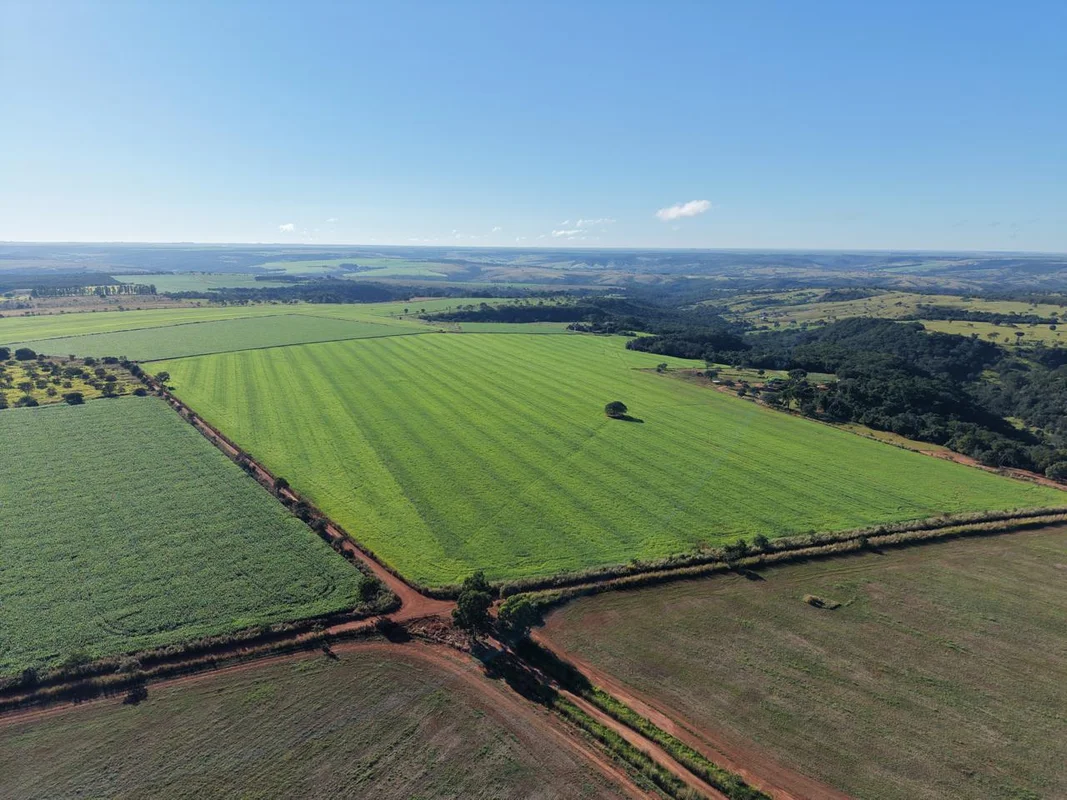FAZENDA PRODUTIVA À VENDA – 130 HECTARES (27 ALQUEIRES)Fernando Silva Corretor d...