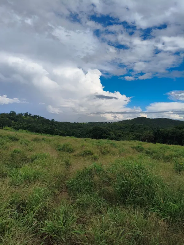 FAZENDA DE 9 ALQUEIRES SENDO QUE 6 ALQUEIRES E PASTAGEM NOVA PROPIO PARA PLANTAÇ...