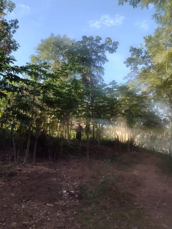 CHACARA DE 5 MIL M² COM CASA GRANDE COM 2 QTS E 1 BANHEIRO E AREA EM L, COM APEN...