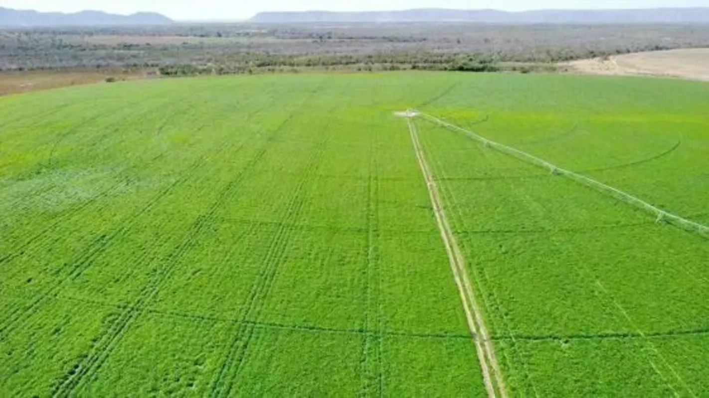 Fazenda Irrigada 186 Alq. (900 Há). Alvorada do Norte - GO.Fazenda Irrigada em G...