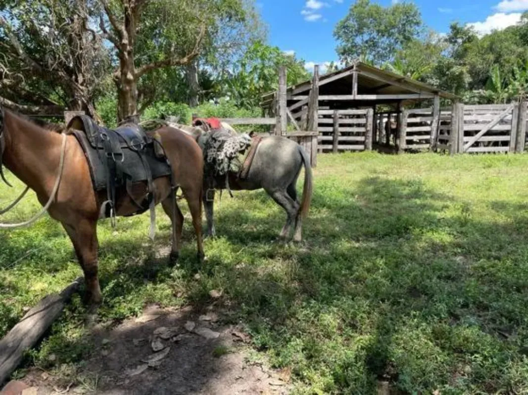 ?? FAZENDA À VENDA – GRANDE OPORTUNIDADE PARA PECUÁRIA E LAVOURA ??Fazenda com 2...