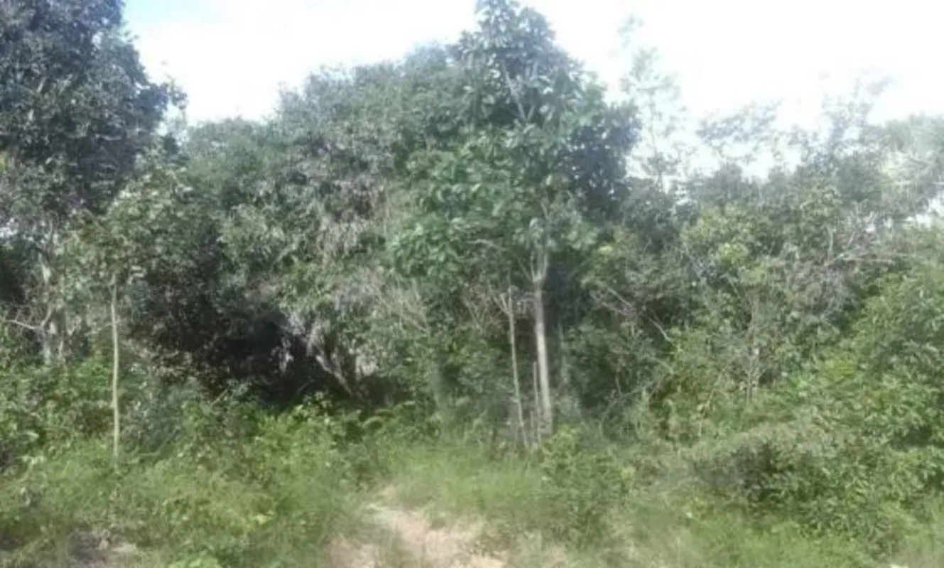 ?? FAZENDA À VENDA ?? Potencial de preservação, compensação e sustentabilidade ?...
