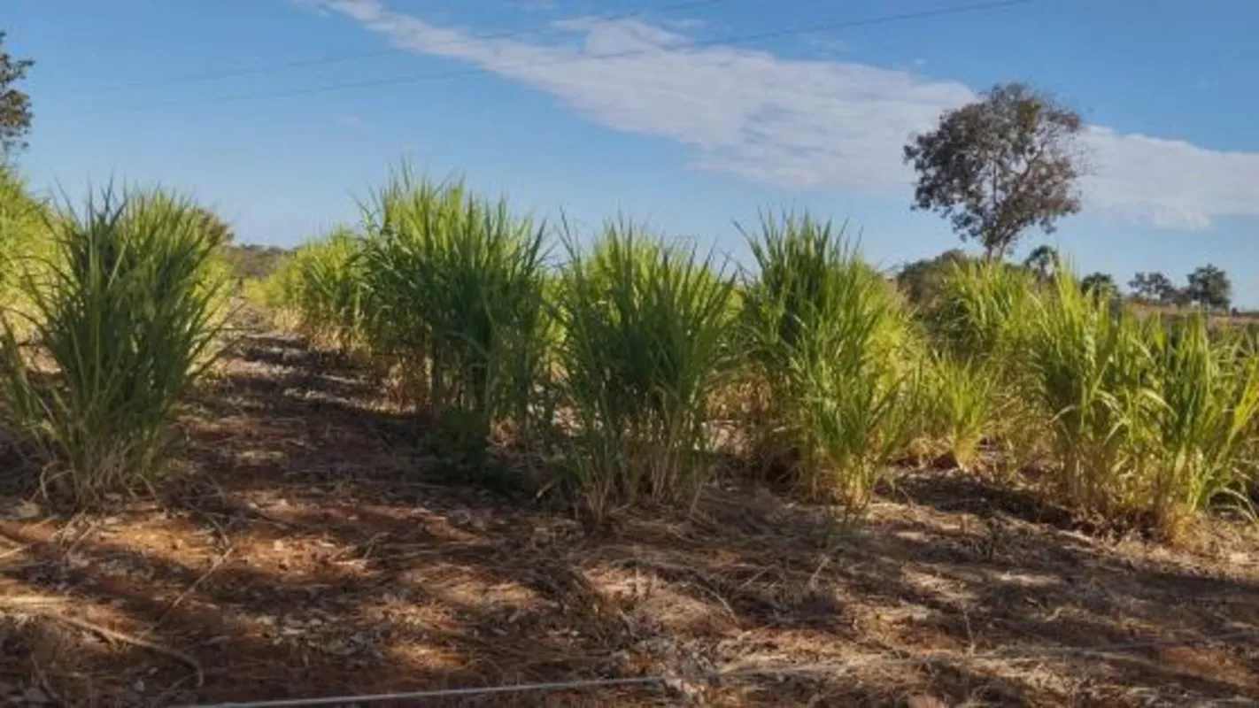 ?? FAZENDA À VENDA – OPORTUNIDADE! ??Propriedade com 13 alqueires, ideal para pe...