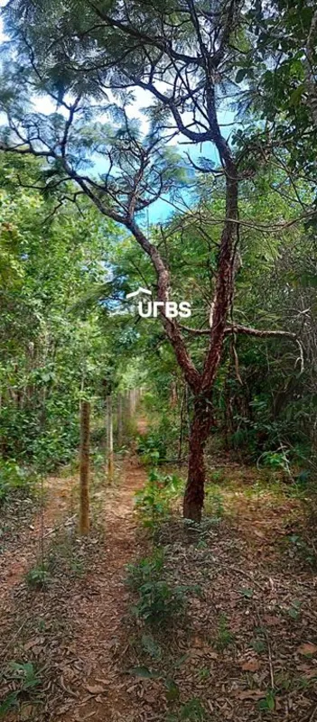 COD U-0020074 - Refúgio Verde em Pirenópolis: Gleba Exclusiva de 20.000 m² na Ra...