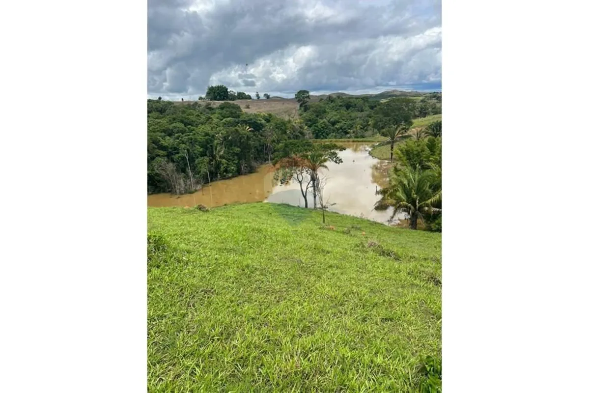 Fazenda Espetacular com 32 Hectares em Cocalzinho de Goiás Oportunidade Única de...
