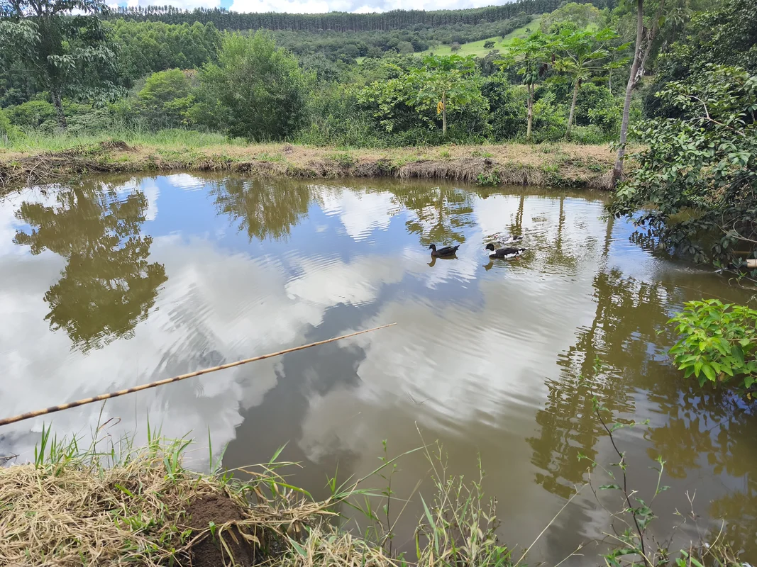 Fazenda de Alto Padrão em Abadiânia – 12,55 Hectares de Pura Exclusividade?Vende...