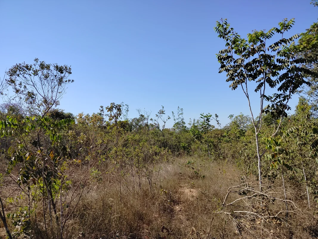 Linda Chácara escriturada e registrada,de 2 hectares, condomínio mansões Park Br...