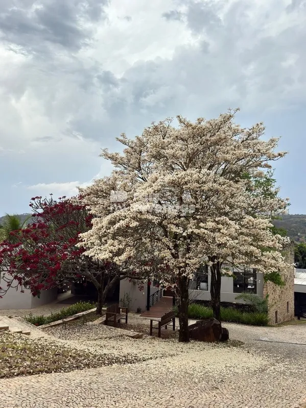 Casa à venda no Aldeia do Vale, em Goiânia, com 4 suítes, piscina, área gourmet ...