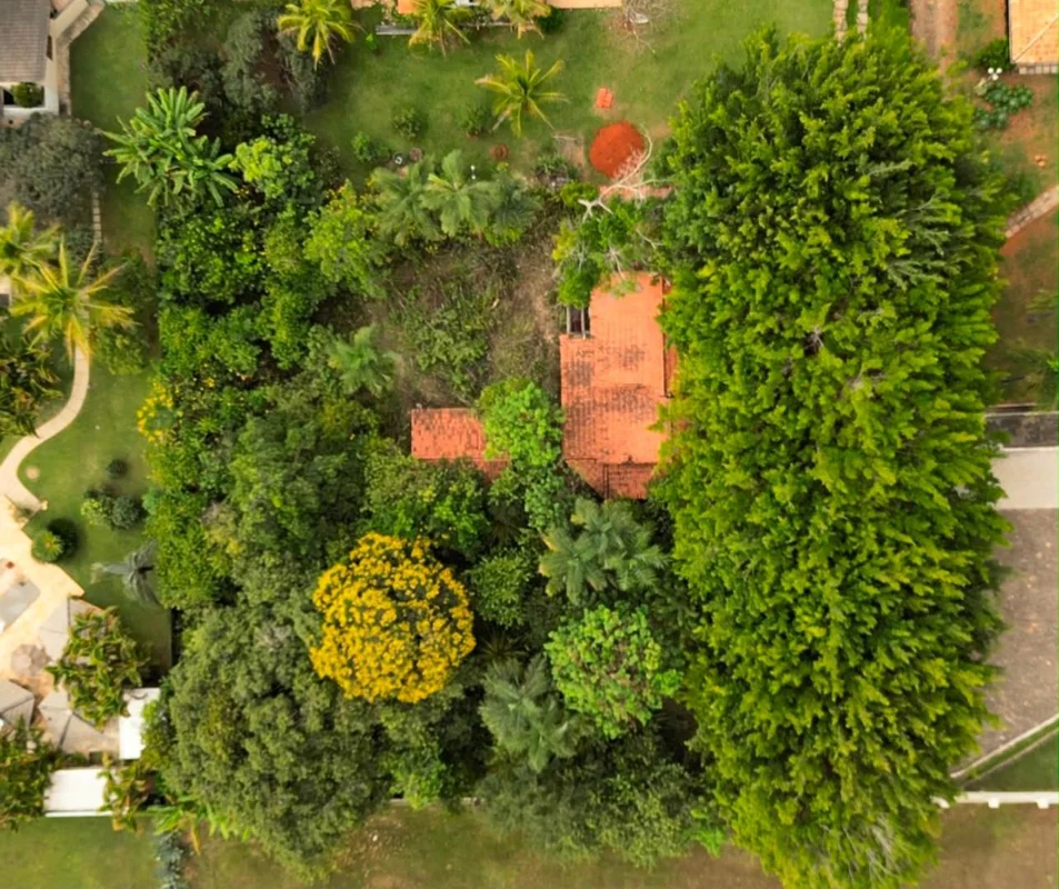 Onde a natureza encontra um novo começoHá lugares que impressionam pelas fotos. ...