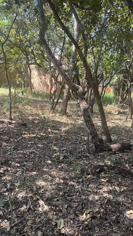  LOTE À VENDA – CONDOMÍNIO QUINTAS DA ALVORADA Excelente lote na Avenida Rio Ama...