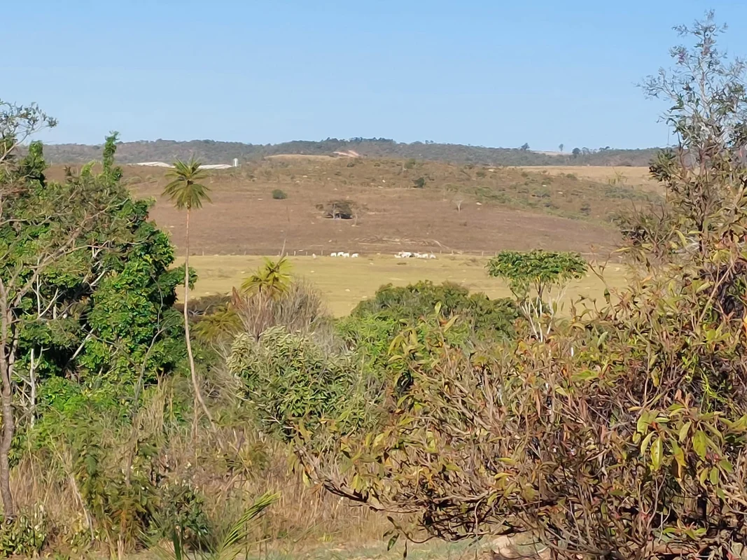 Descubra uma oportunidade única de viver na tranquilidade do campo, com a conven...