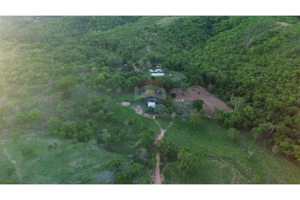 EXCELENTE FAZENDA PRÓXIMO A FORMOSA GOFazenda São Miguel / Pindaíbas 109.531 hec...