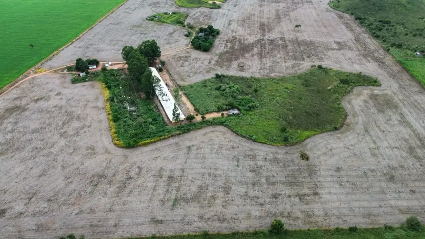 OPORTUNIDADE ÚNICA DE INVESTIMENTO NO AGRONEGÓCIO! ?????? Fazenda à venda em Pla...