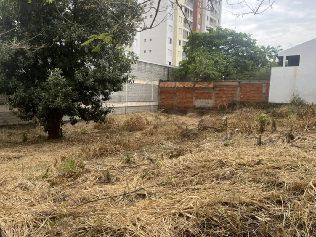  O imóvel no bairro Jardim Atlântico possui 748 metros quadrados de frente para ...