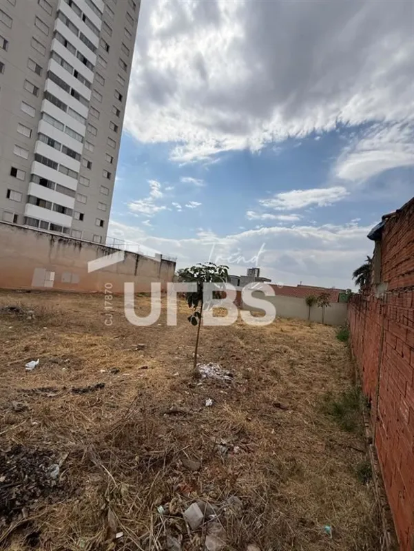 COD U-0034778 - LOTES URBANOS VAZIOS COM GABARITO PARA PREDIO Lote 390m2 no Parq...