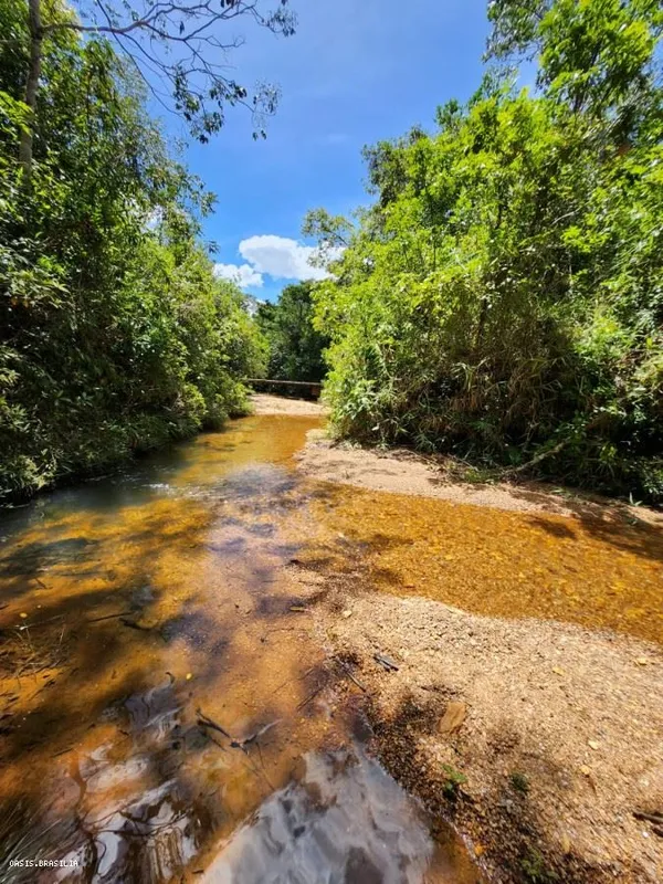 Descubra o encanto de viver rodeado pela natureza em uma chácara exclusiva, pron...
