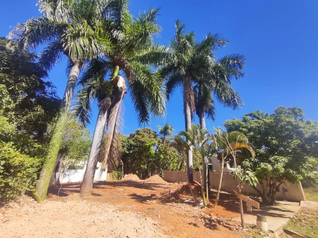 VENDO LOTE 750 M2, GUARÁ II - BERNARDO SAYÃO. - ATRÁS DO POLO DE MODAS DO GUARÁ....