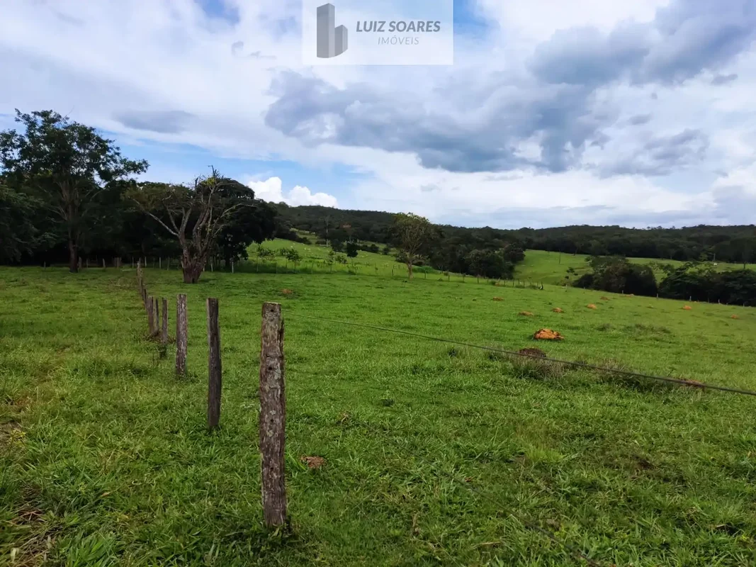 EXCELENTE FAZENDASÃO 15 ALQUEIRES GOIANOSTODA FORMADALOCALIZAÇÃO PERFEITA23 KM D...